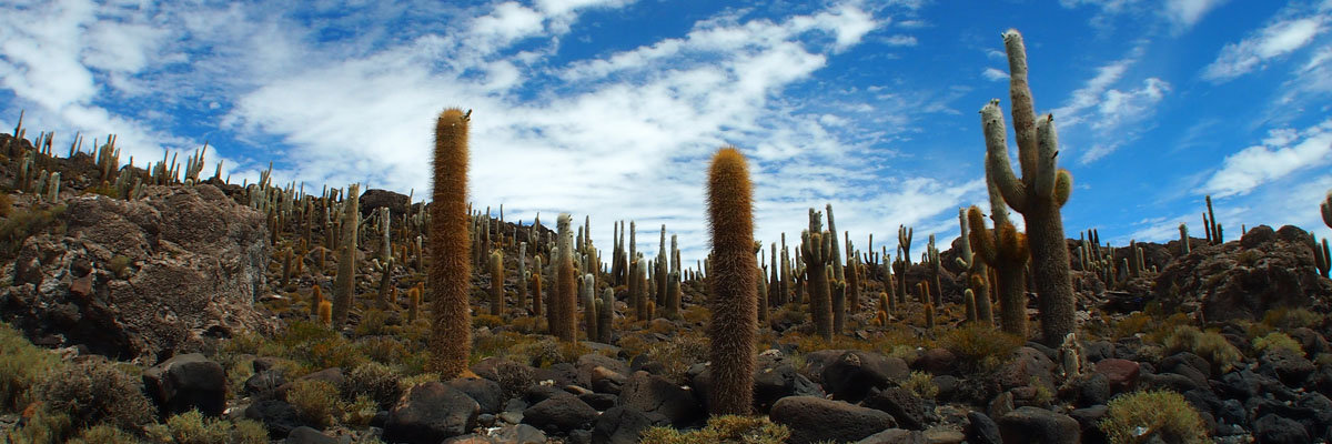 Tour al Salar de Uyuni - 2 Días en Uyuni 
